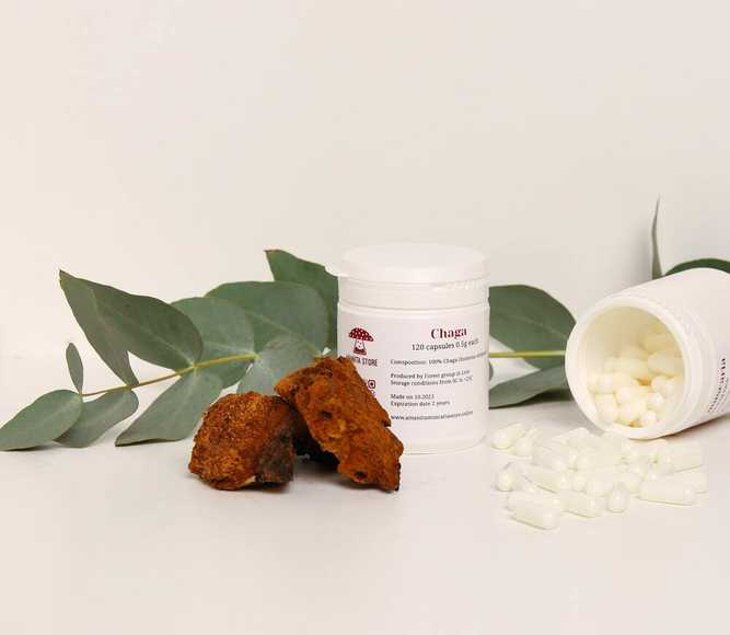 Chaga capsules — 120 capsules
