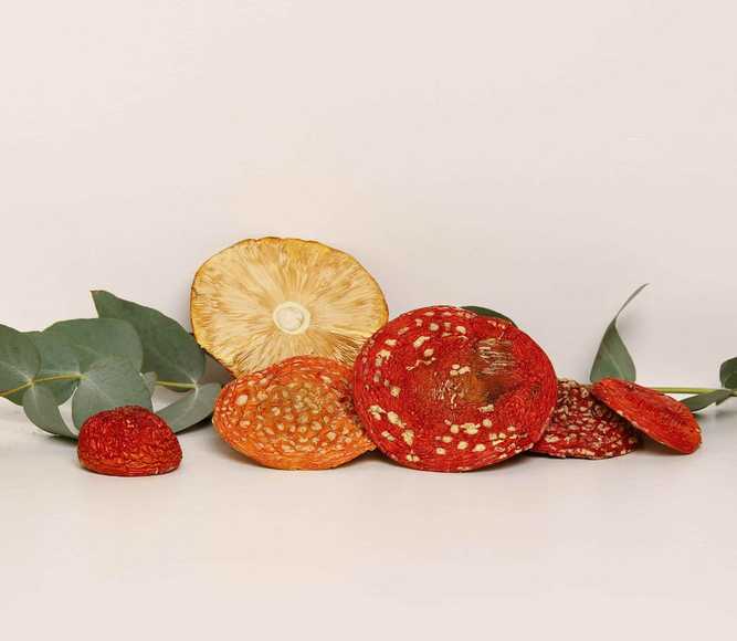 Dried Amanita muscaria grade A — 50g