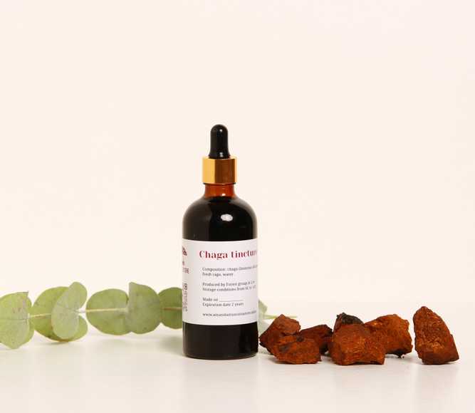Chaga (Inonotus obliquus) tincture – Double Extraction — 50ml