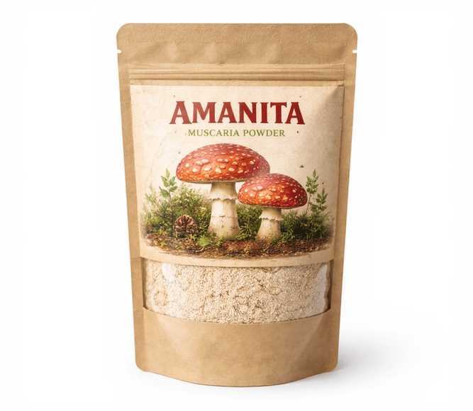 Dried Amanita muscaria powder — 100g