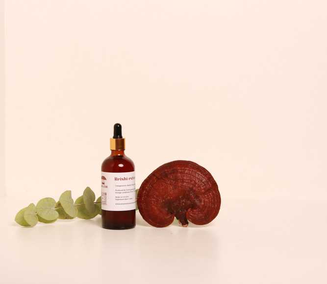 Reishi Tincture – Double Extraction from Fresh Organic Fruiting Bodies — 50ml