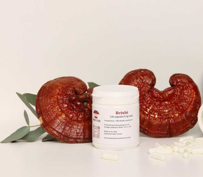 Reishi capsules — 120 capsules