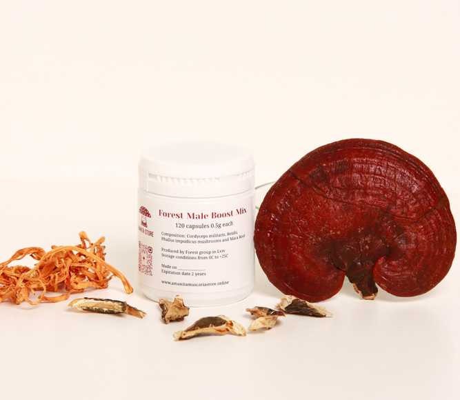 Forest Male Boost Mix — 120 capsules