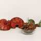 Reishi mushroom (Ganoderma lucidum) — 100g