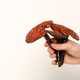 Reishi mushroom (Ganoderma lucidum) — 100g — photo 6